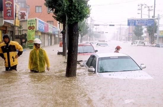 강릉을 물바다로 만들었던 2002년 태풍 루사