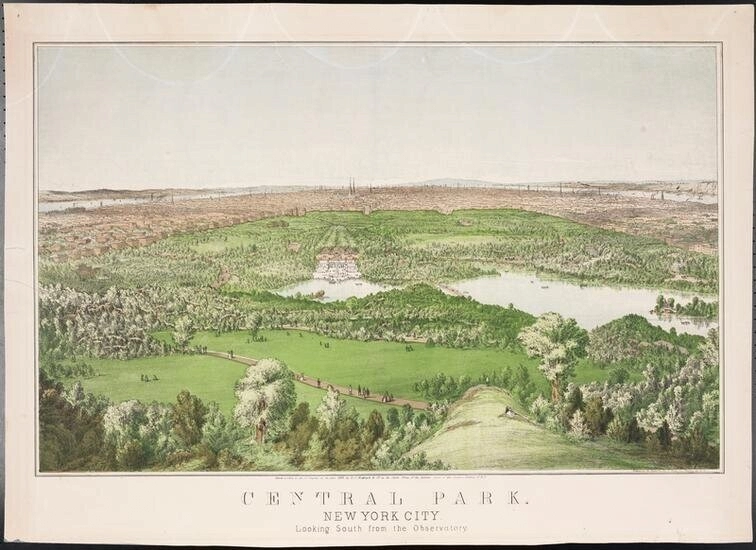 뉴욕에서 정신병원을 대체하고 있는 녹지 공간