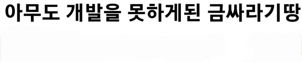뉴욕에서 정신병원을 대체하고 있는 녹지 공간