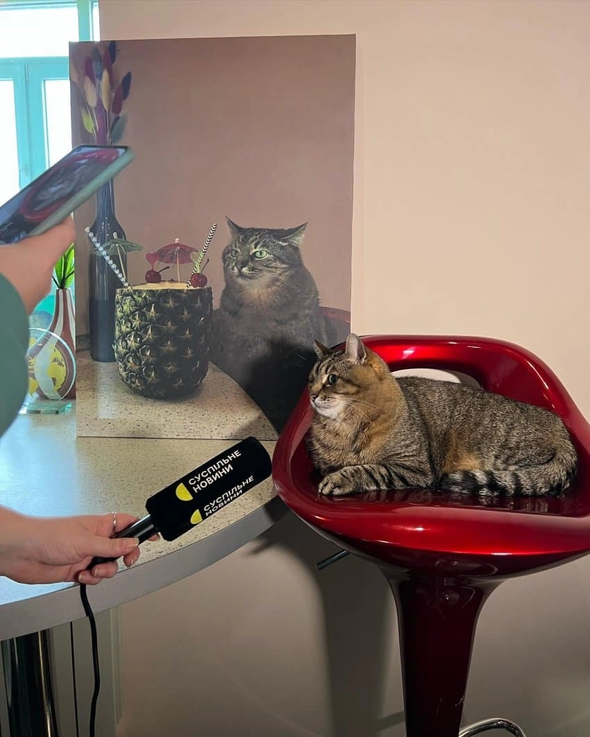 SNS에서 특이한 자세로 유명해진 고양이