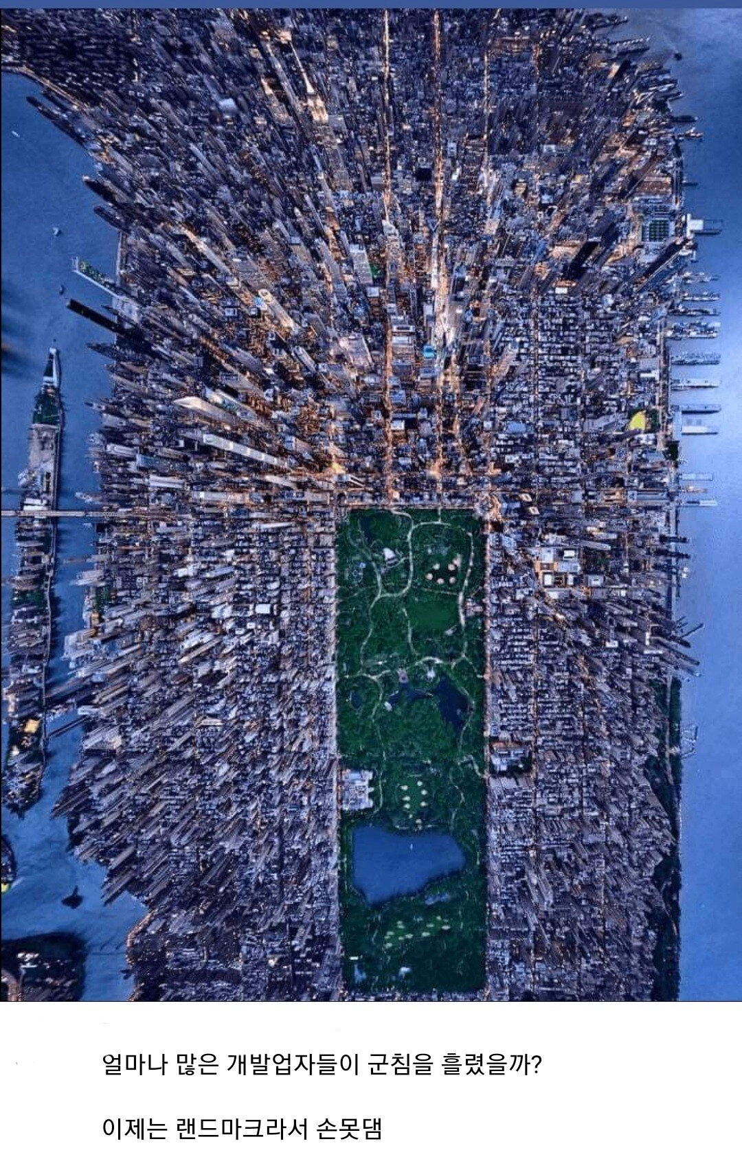 뉴욕에서 정신병원을 대체하고 있는 녹지 공간