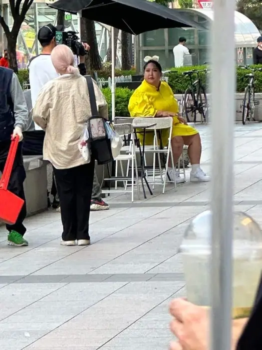 풍자 실제 크기