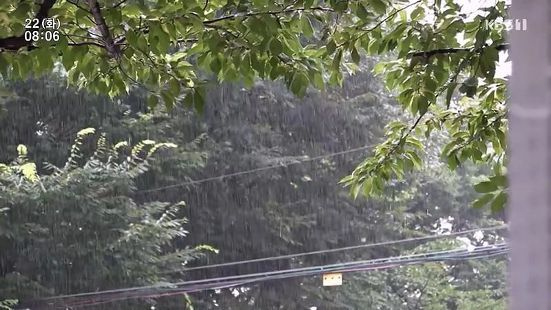 아침 안먹는 와이프 아침 먹게하려고 아침산책 같이 가주는 남편