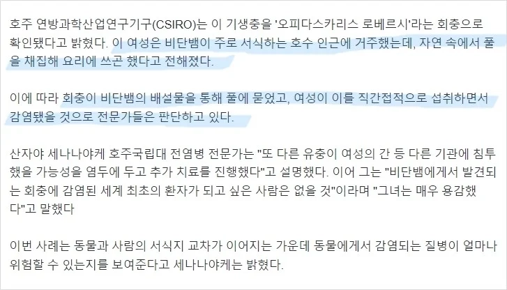 수술하던 의사도 기겁…건망증 여성 뇌에 8㎝ 벌레