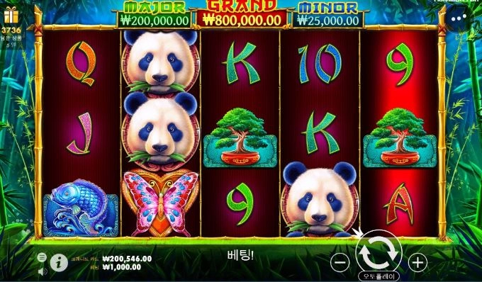 판다도 예전같지 않네