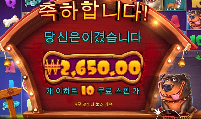 오랜만에 개집 돌려봤는데