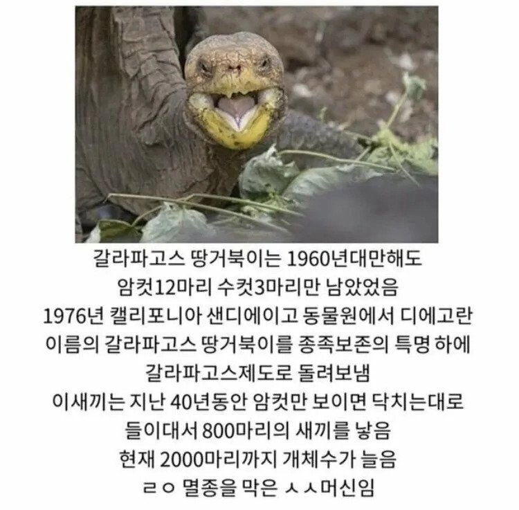 종족번식을 위해 ㅅㅅ머신이 됨