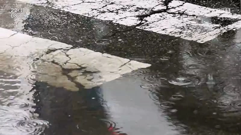 아침 안먹는 와이프 아침 먹게하려고 아침산책 같이 가주는 남편