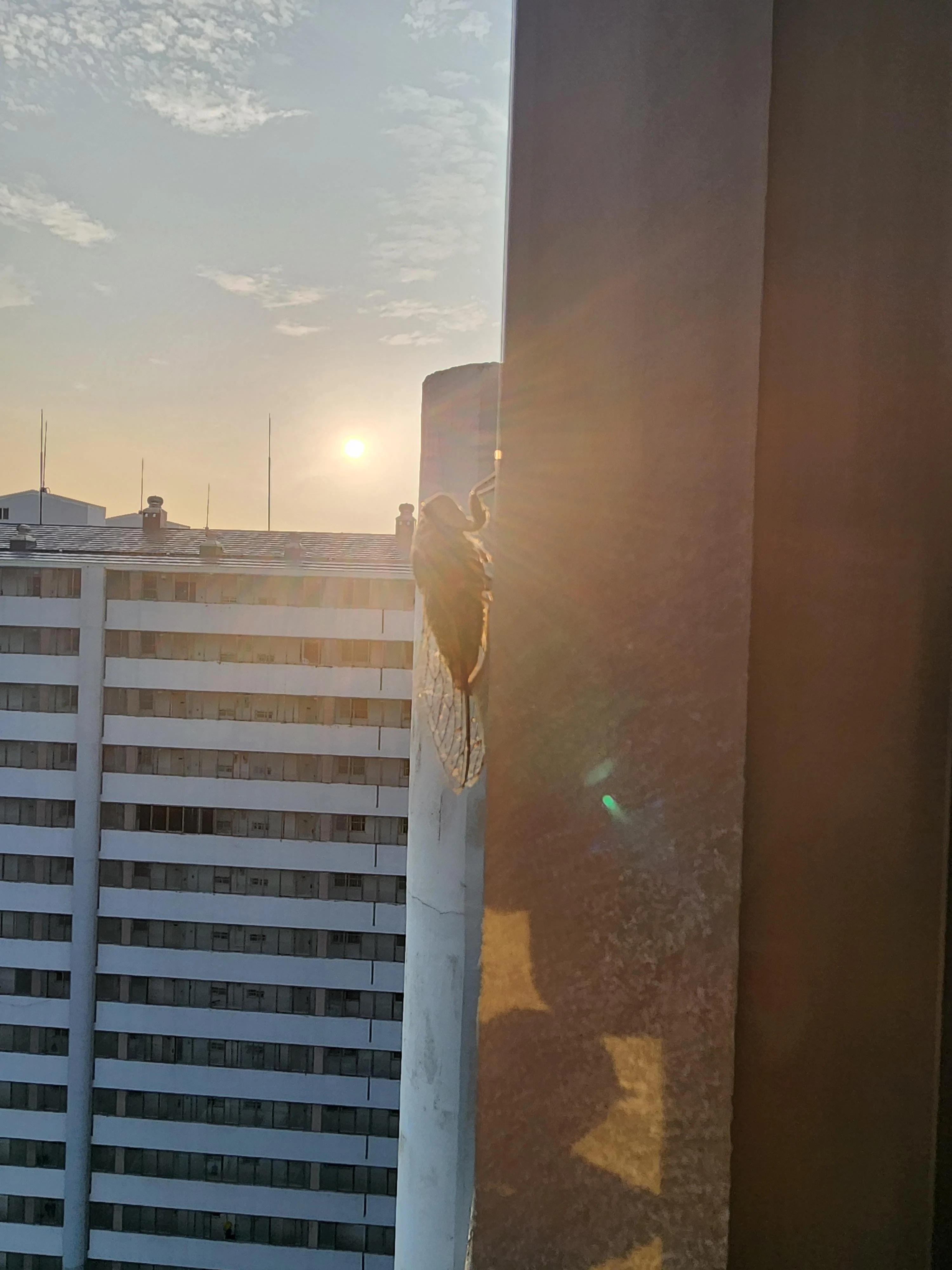 오늘은 평소보다 1시간 일찍 일어났다