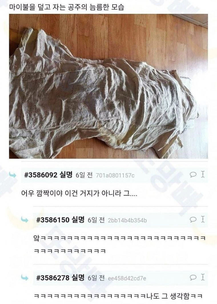 마로 된 이불