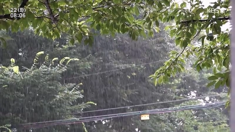 아침 안먹는 와이프 아침 먹게하려고 아침산책 같이 가주는 남편