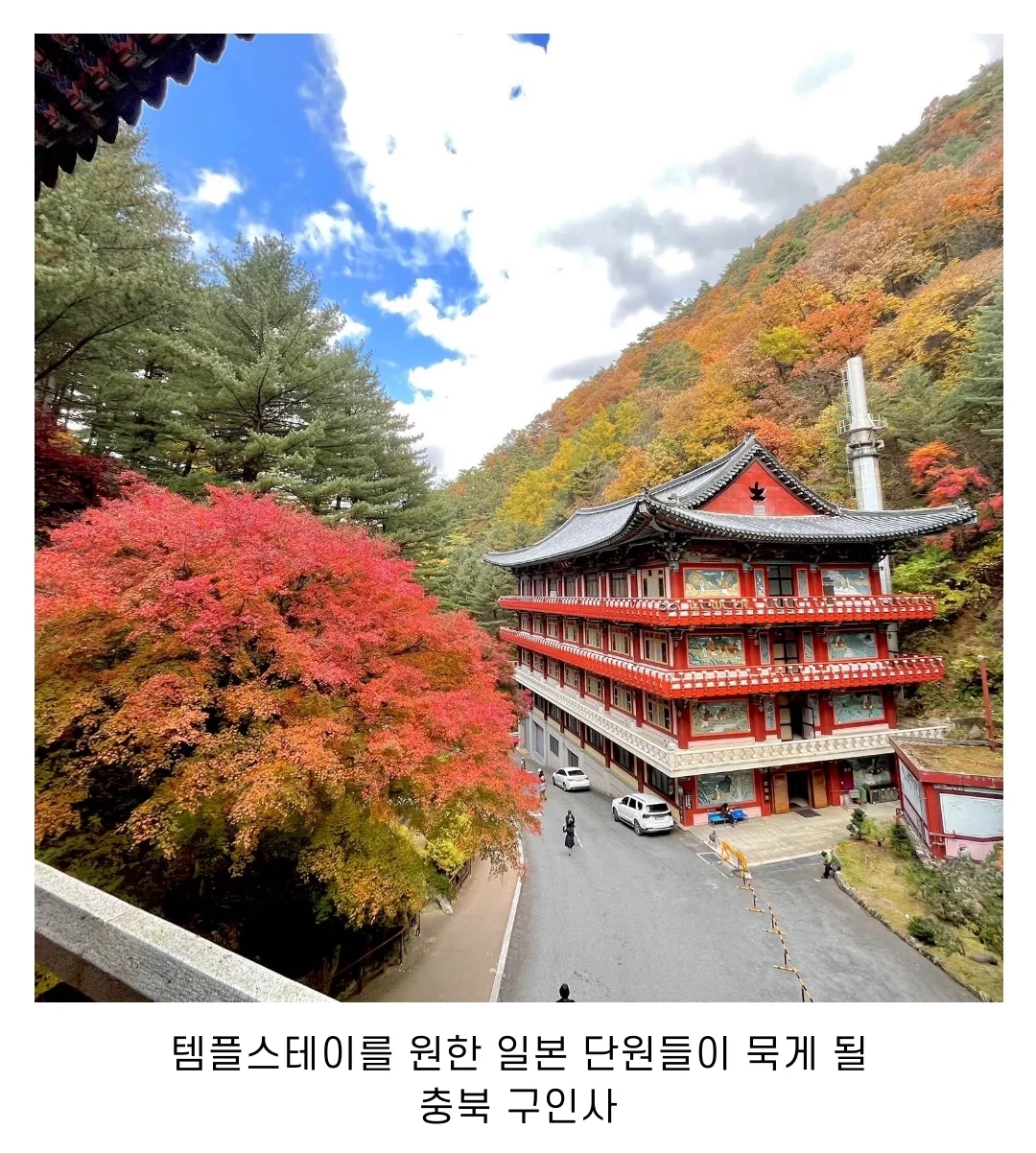 잼버리 대원들의 호화숙소