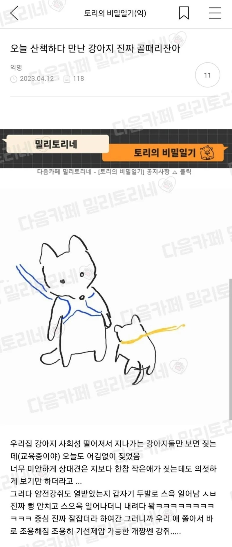 기선제압당한 강쥐