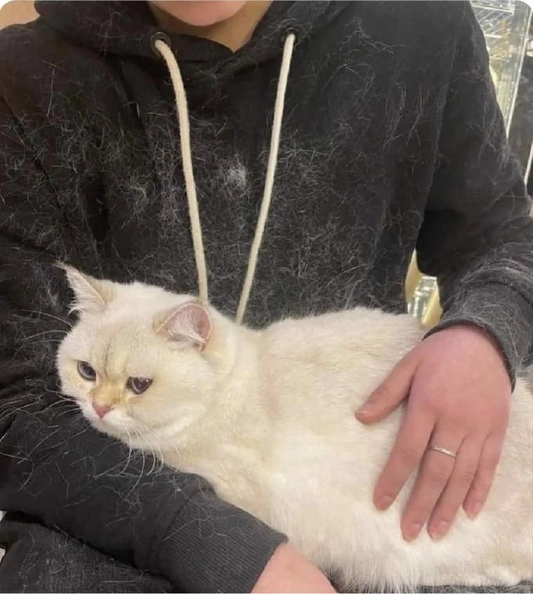 집사 검은옷 ㅎㅎㅎ