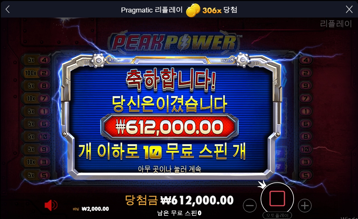 피크 파워 후기