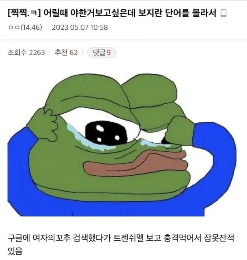 어렸을때 보지라는 단어를 몰라서