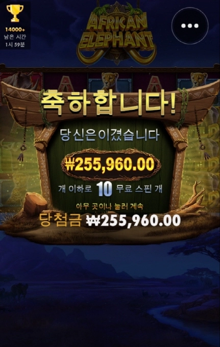 아프리칸 엘리펀트 고맙고 ㅎㅎ