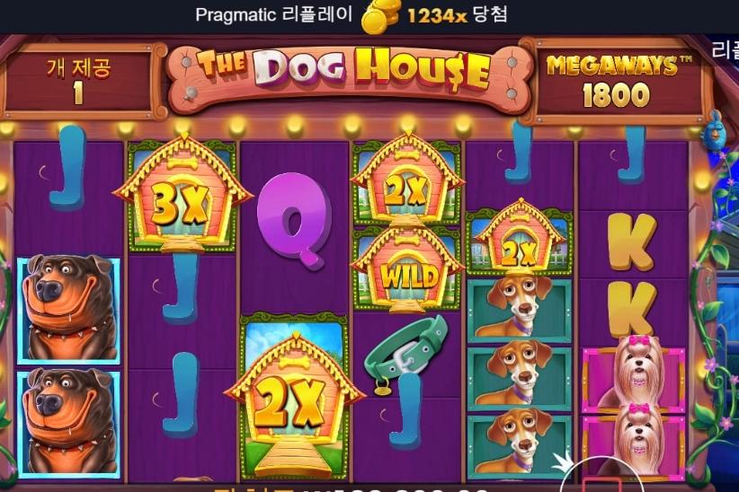 슬롯 인생 첨으로..