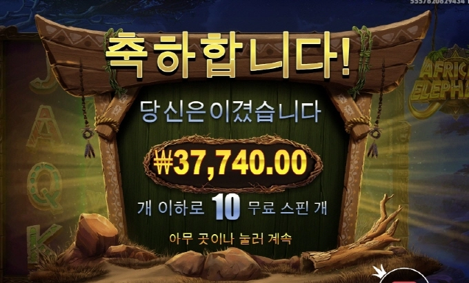 아프리칸 엘리펀드 오지게 안맞네요 진짜