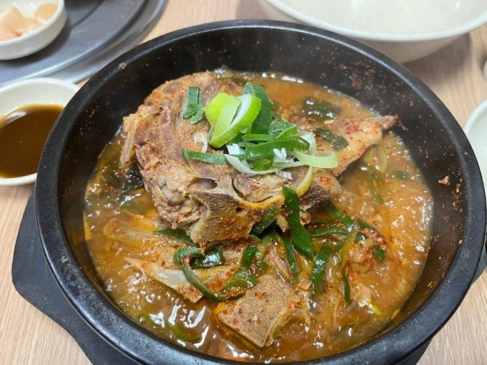 평생 딱 하나만 먹어야 한다면 닥전vs닥후