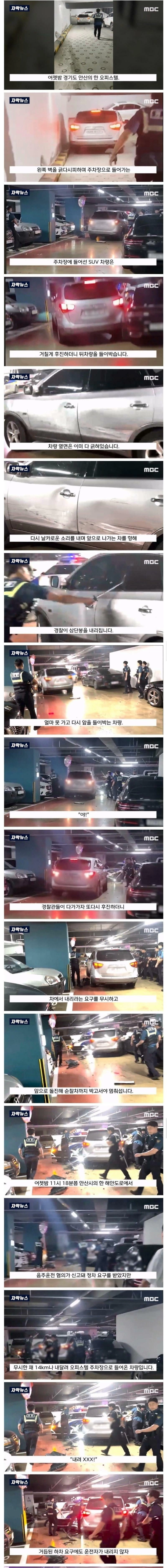 인생 끝난 음주운전 20대