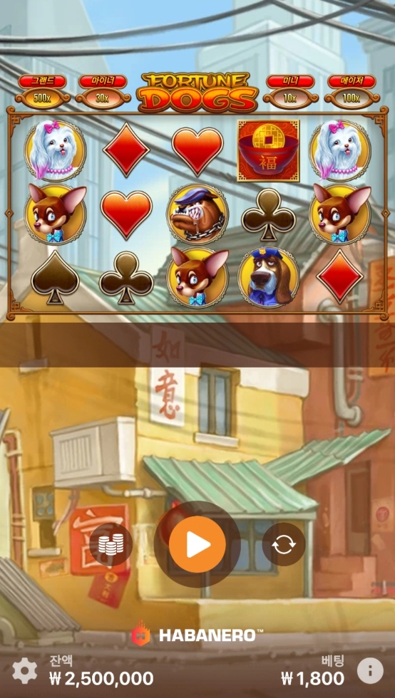 하바네로 포춘독스 올만에 ㄱㄱ