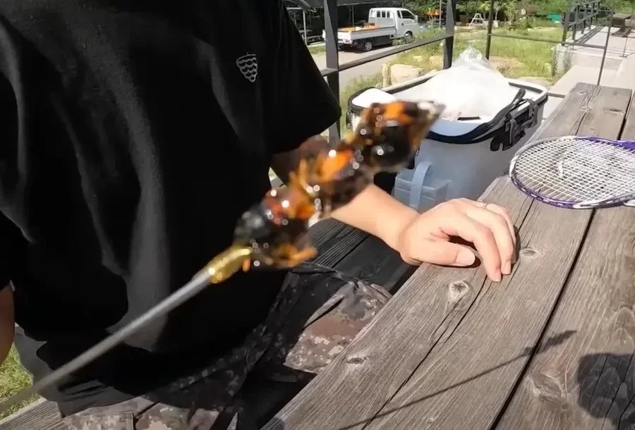 탕후루 유행 근황