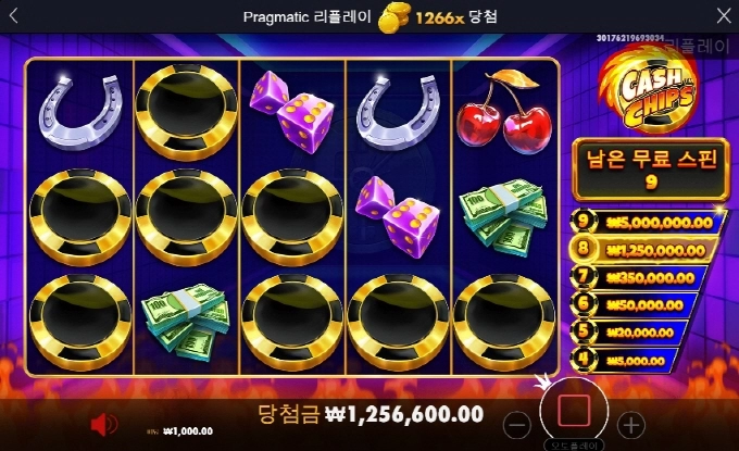 캐시칩스 1266배 아주 고맙고 ㅅㅅ