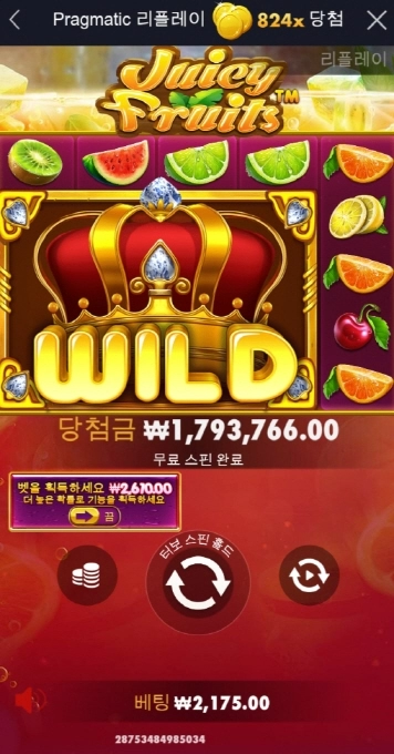 쥬시후르츠 824배 대박터졌습니다 ㅎㅎㅎ