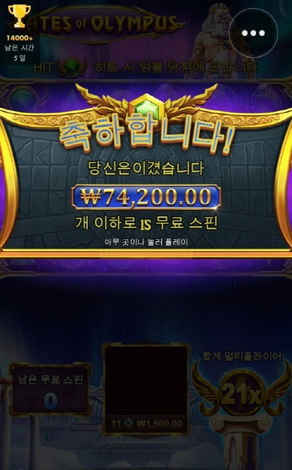 사대 안맞는 올림푸스 아오