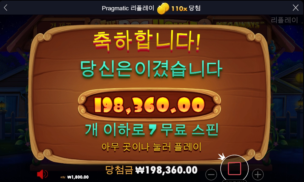 도그하우스 후기