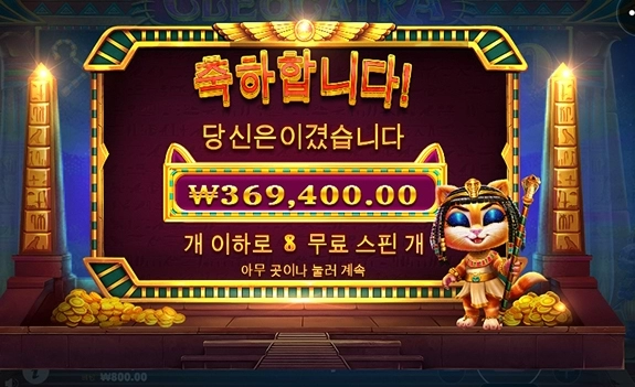 요즘 다시 자주하는 캐트라 후기