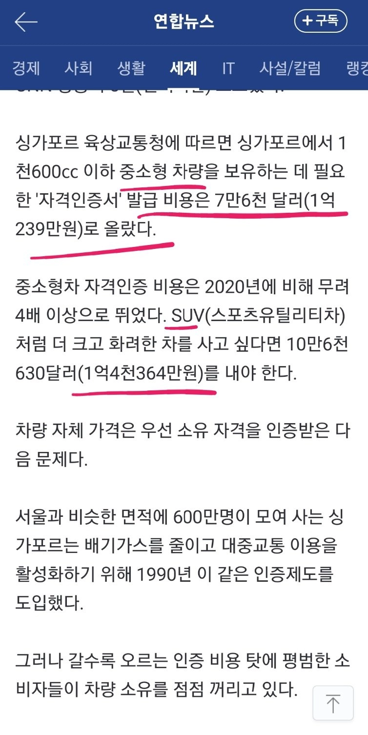 우리나라에 필요한 정책 (싱가포르 정책 도입 필요)