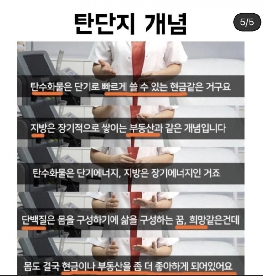 이해하기 쉬운 탄수화물, 단백질, 지방 개념 정리