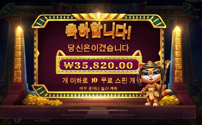 씨벌 ㅈ가튼 고양이새끼