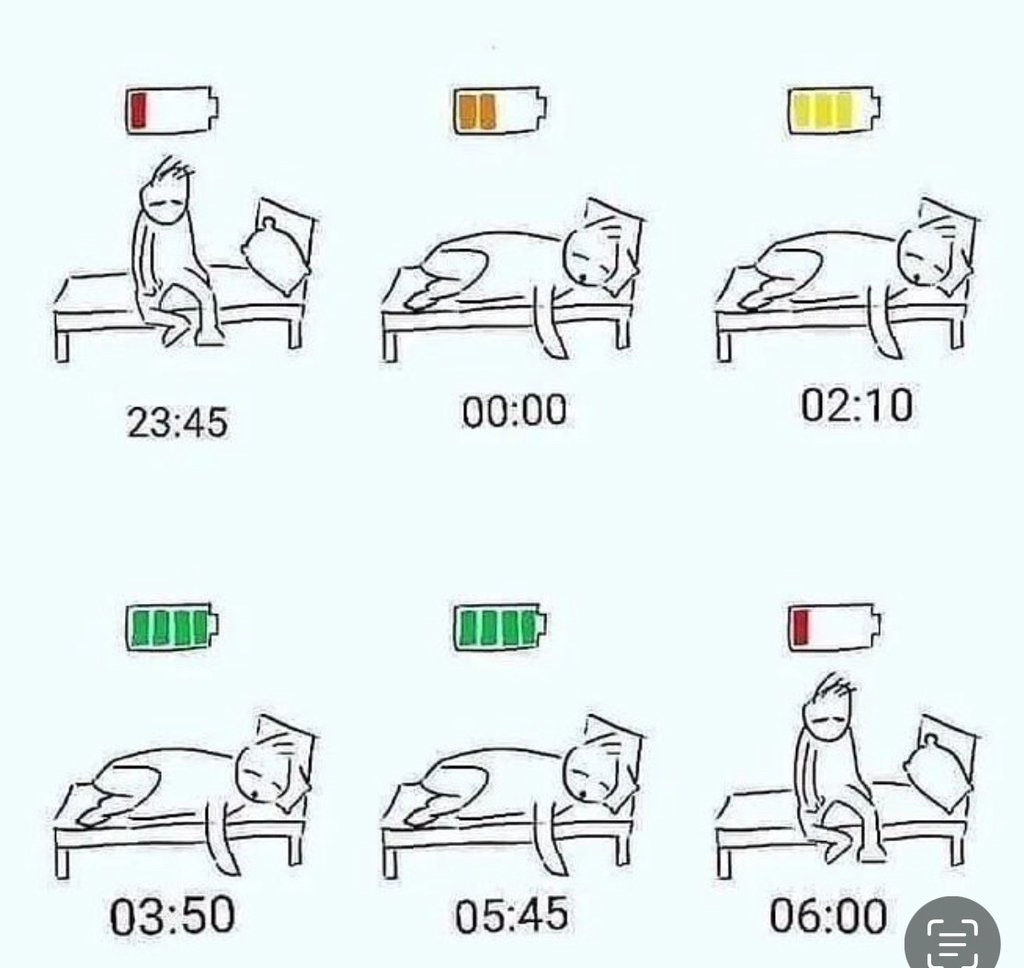 직장인들의 체력회복 과정