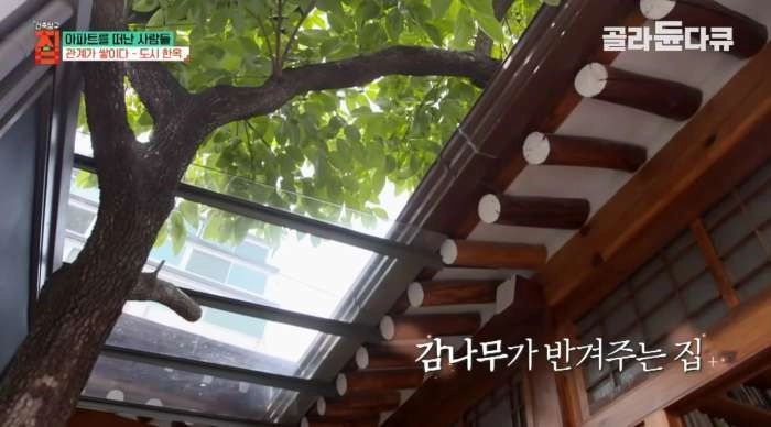 40대 아빠가 아파트 팔고 쓰러져가는 한옥을 리모델링해 이사한 이유