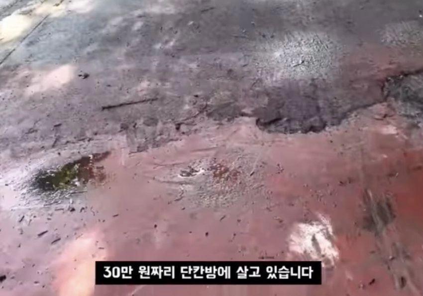 비혼주의 페미의 미래