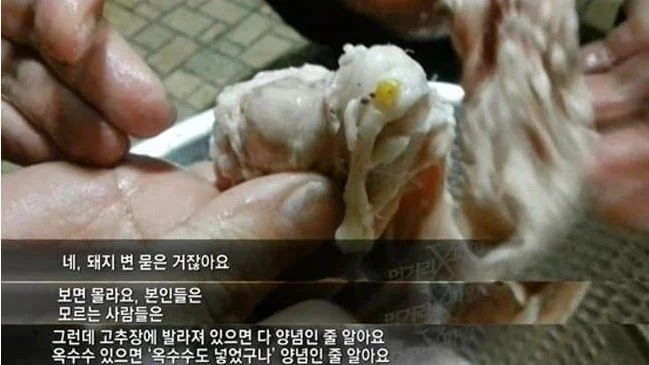 곱창 안먹는 이유