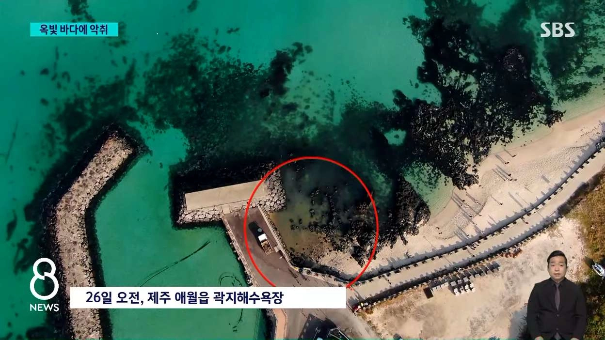 제주 애월 앞바다에 폐수 콸콸