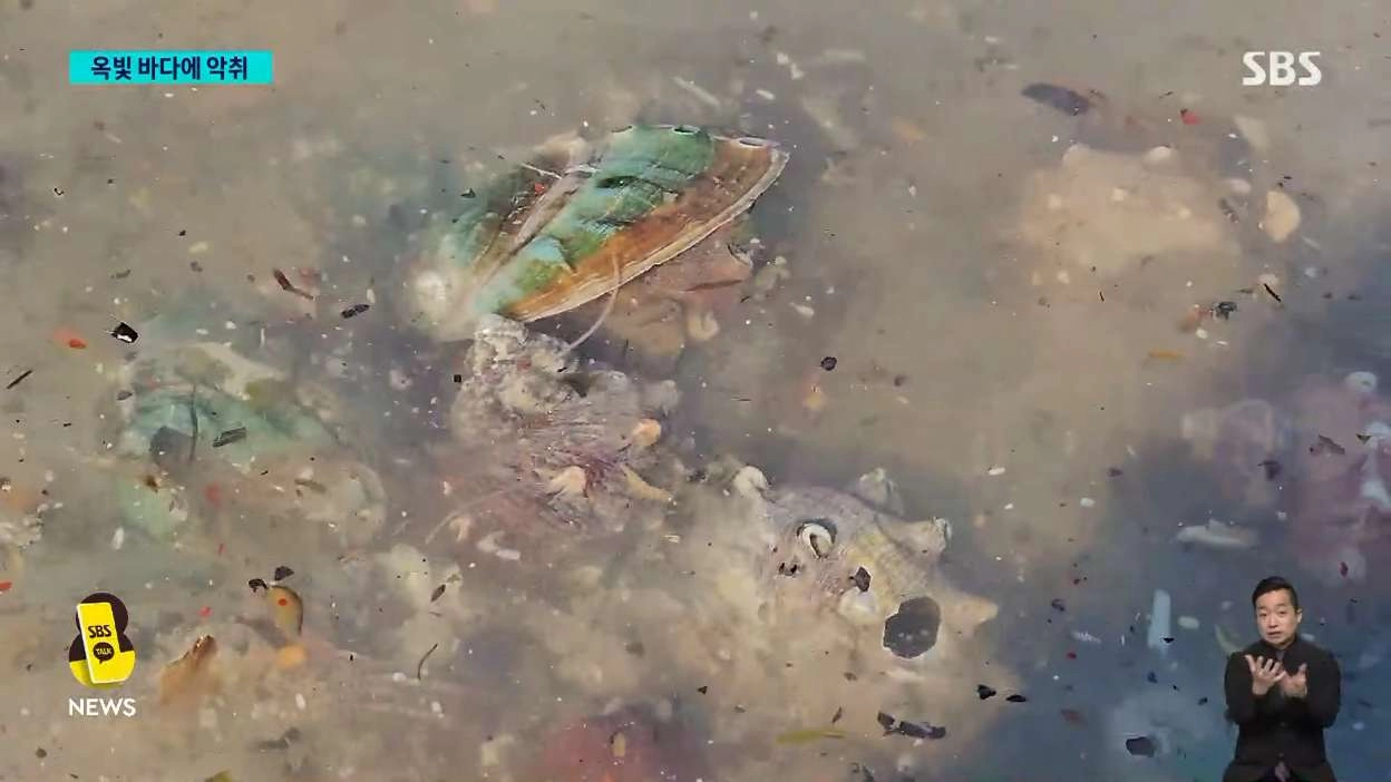 제주 애월 앞바다에 폐수 콸콸