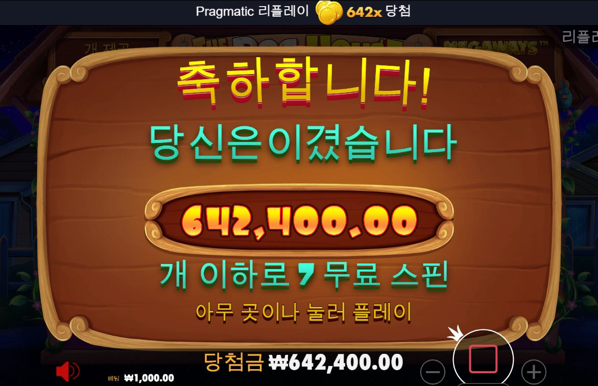 도그 하우스 후기