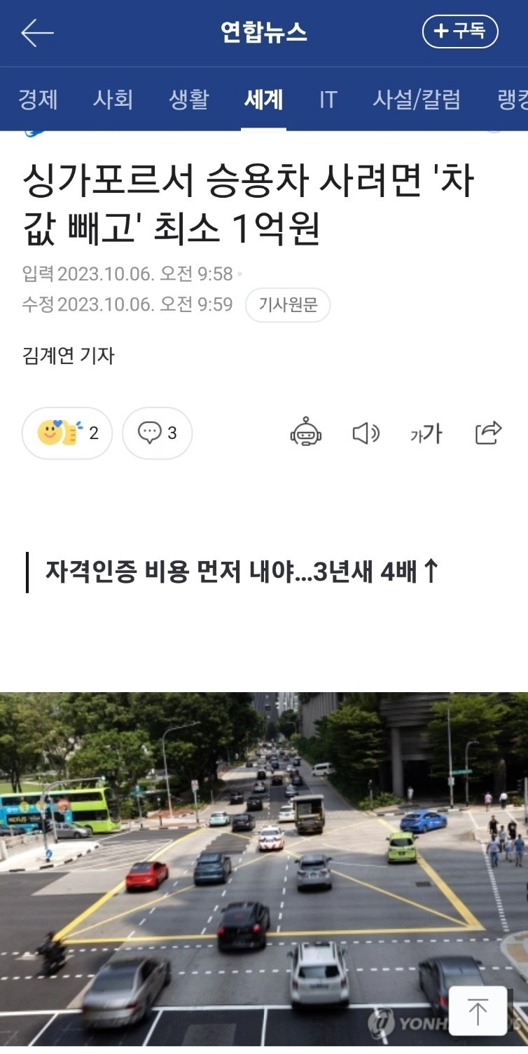 우리나라에 필요한 정책 (싱가포르 정책 도입 필요)