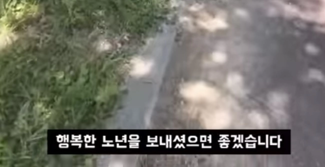 비혼주의 페미의 미래