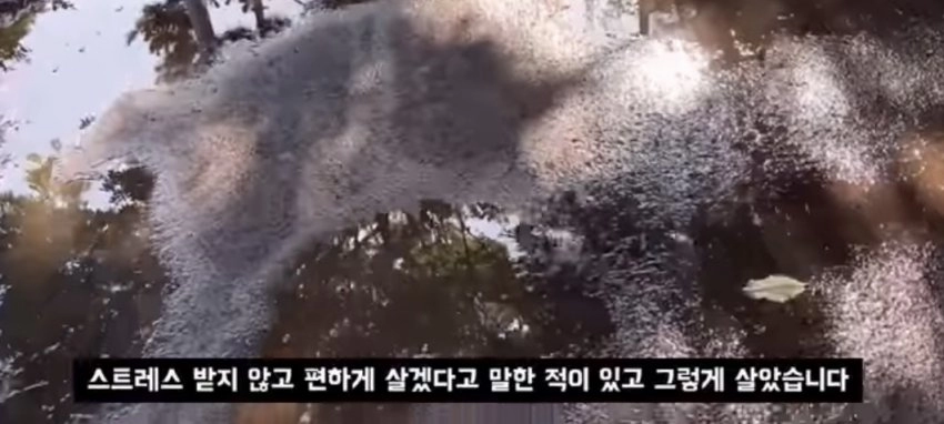 비혼주의 페미의 미래