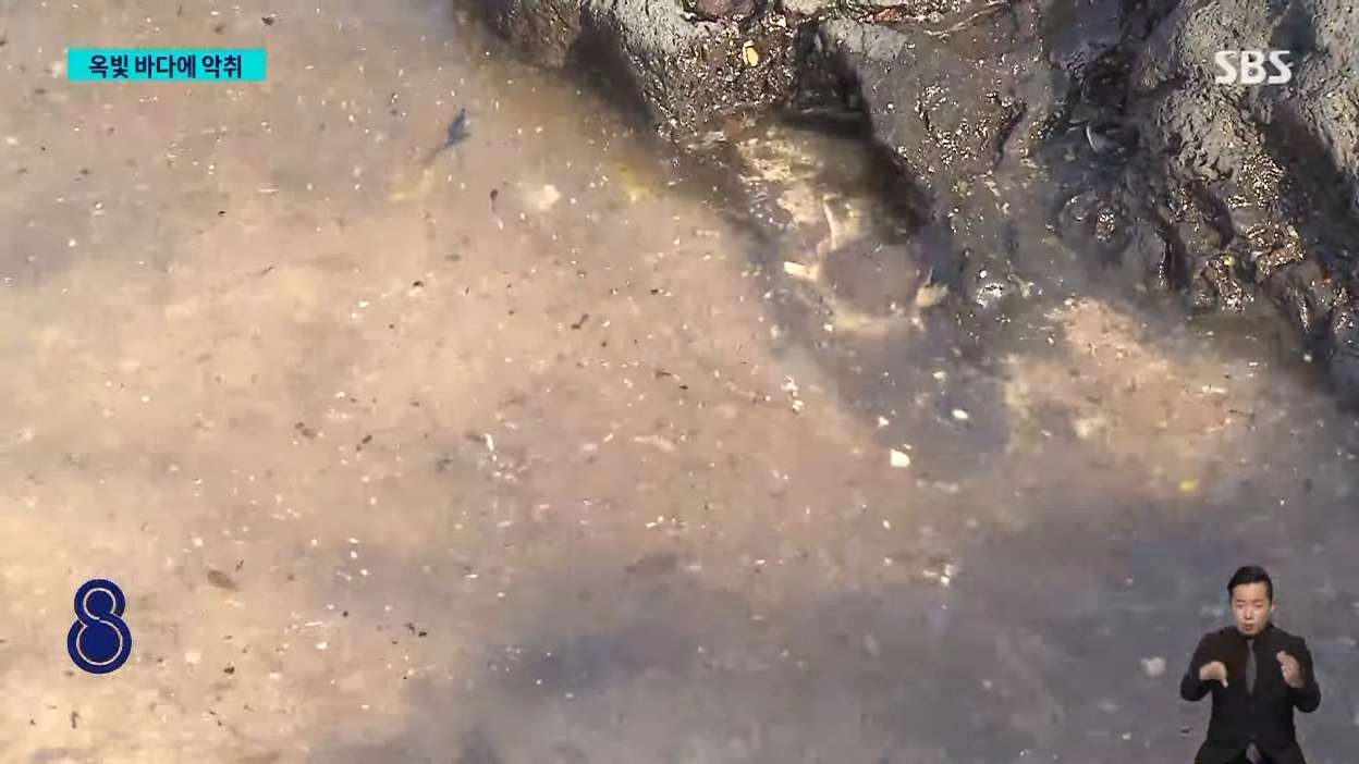 제주 애월 앞바다에 폐수 콸콸