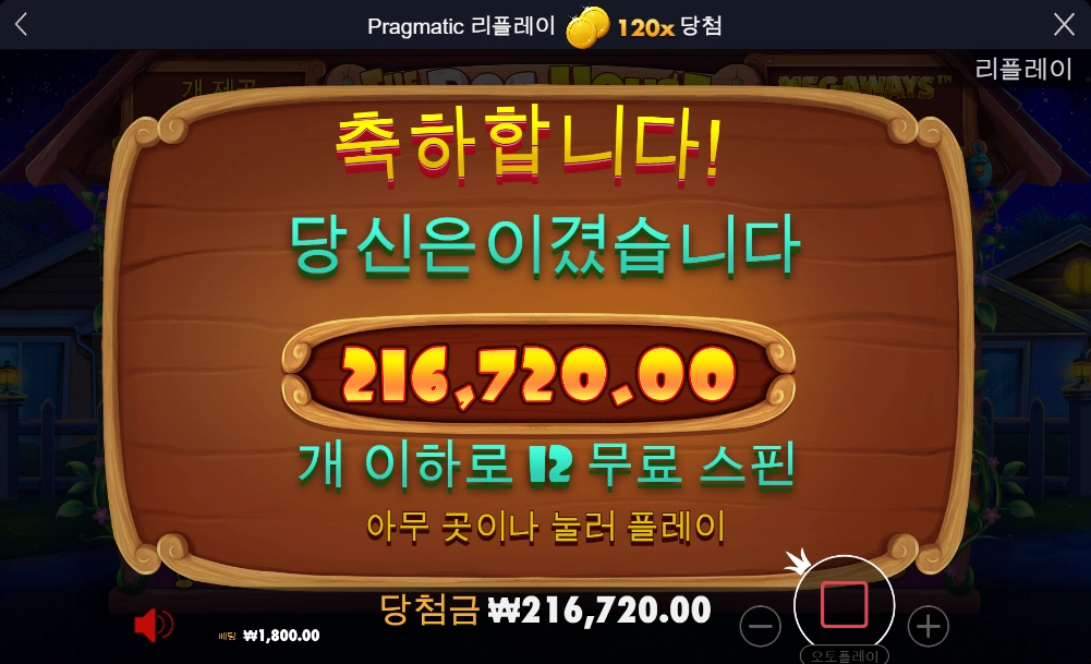 도그 하우스 후기