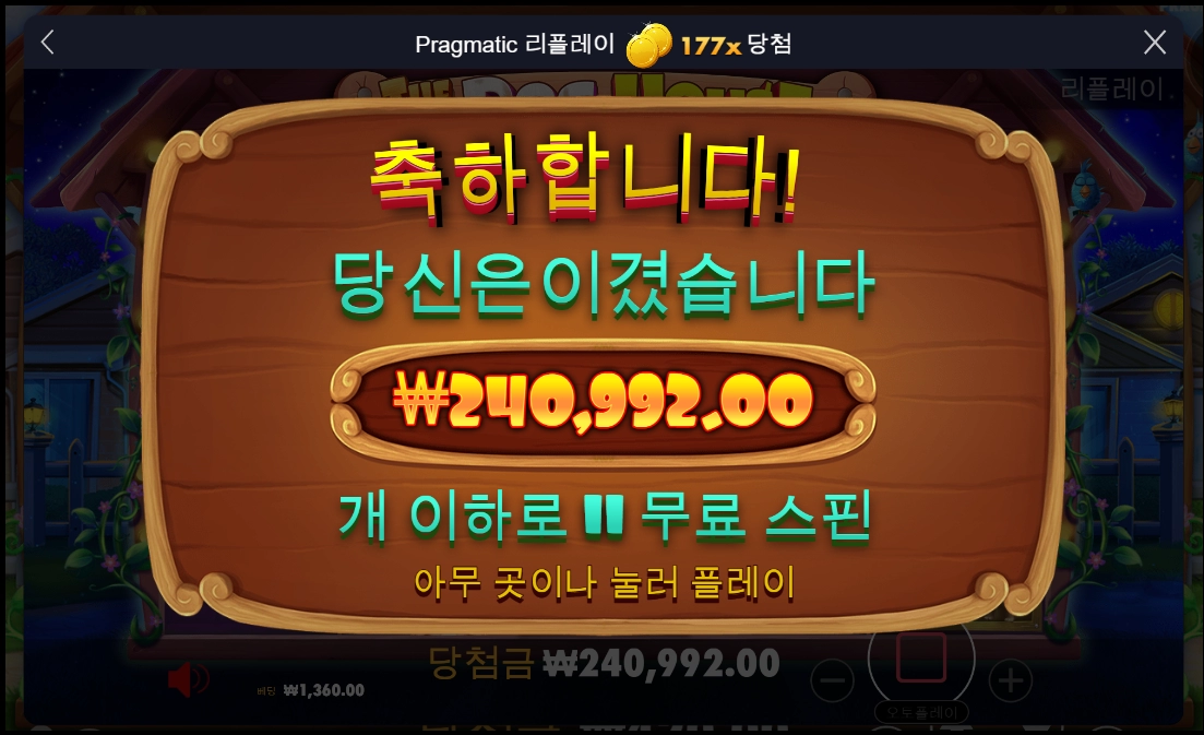 도그하우스 후기