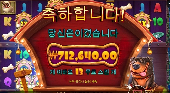 오랜만에 강아지 산책