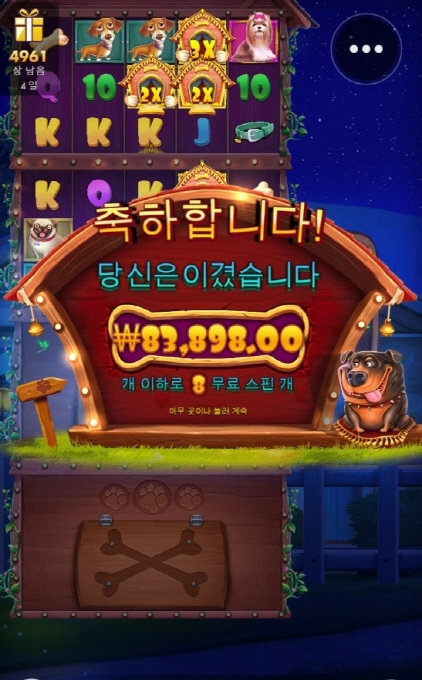 도그하우스 멀티홀드 나쁜개는 없다고 배웠는데 ㅠㅠ